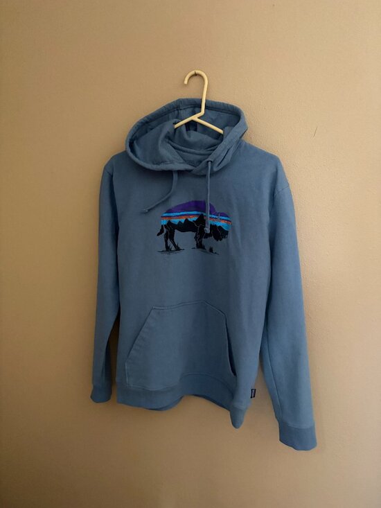 Patagonia Other - Patagonia hooded sweatshirt, blue size medium.